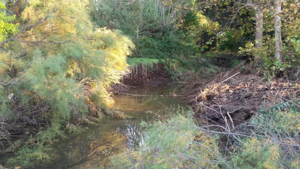 I fossi e lo stagno di Baratti (Piombino - LI)